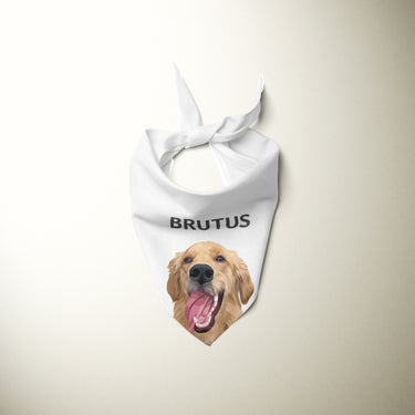 Personalized Pet Bandanas